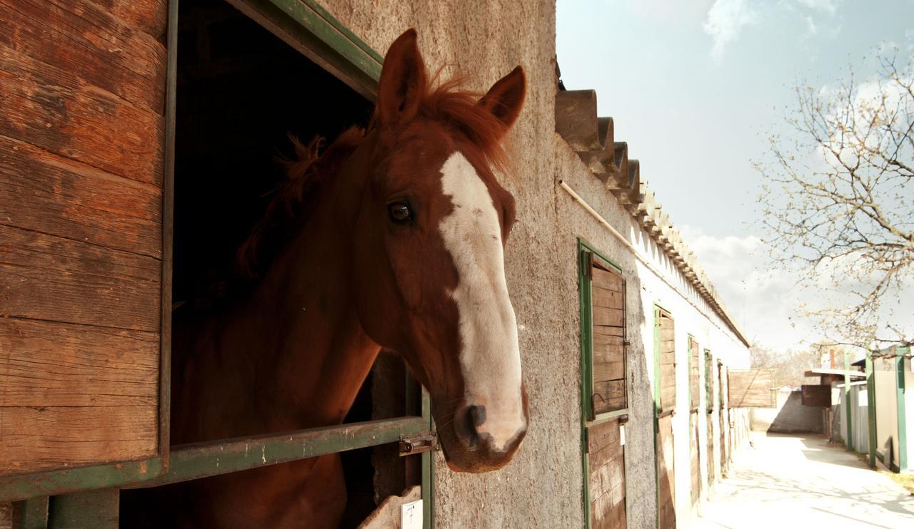 Agriturismo Fasano Cassano delle Murge Zewnętrze zdjęcie