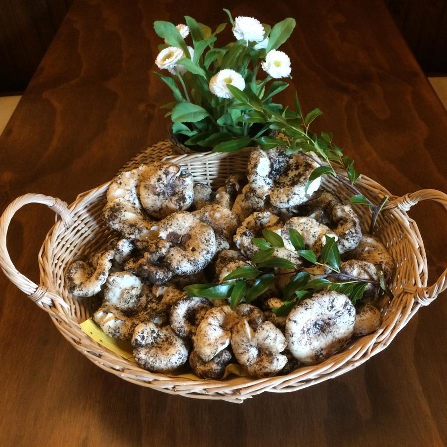 Agriturismo Fasano Cassano delle Murge Zewnętrze zdjęcie