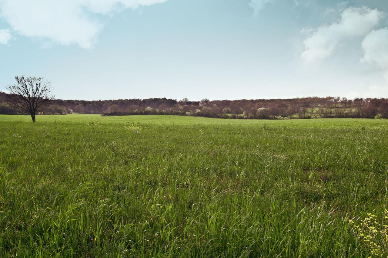 Agriturismo Fasano Cassano delle Murge Zewnętrze zdjęcie